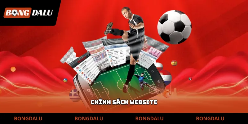 Chính sách website