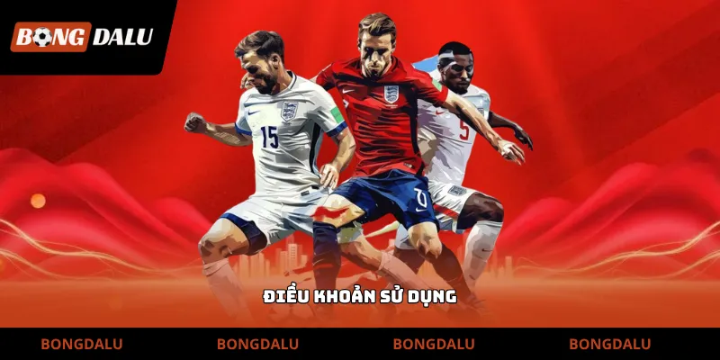 Điều khoản sử dụng