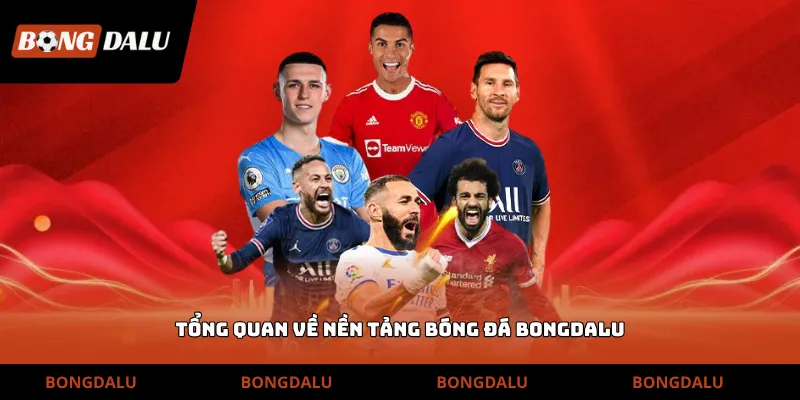 Tổng quan về nền tảng bóng đá Bongdalu